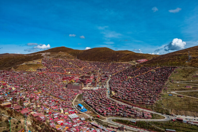 Wang Wenwei - Holy-Buddha-Land